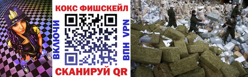 Купить  Мураши  Cocaine Эквадор 