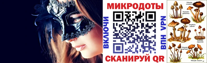 Купить где  Мураши  Галлюциногенные грибы Psilocybine cubensis 